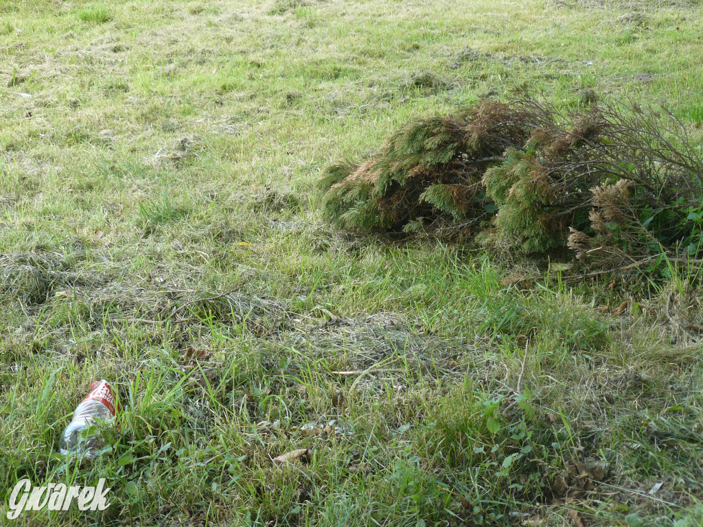 Czy zalew w Pniowcu będzie wyglądał lepiej?