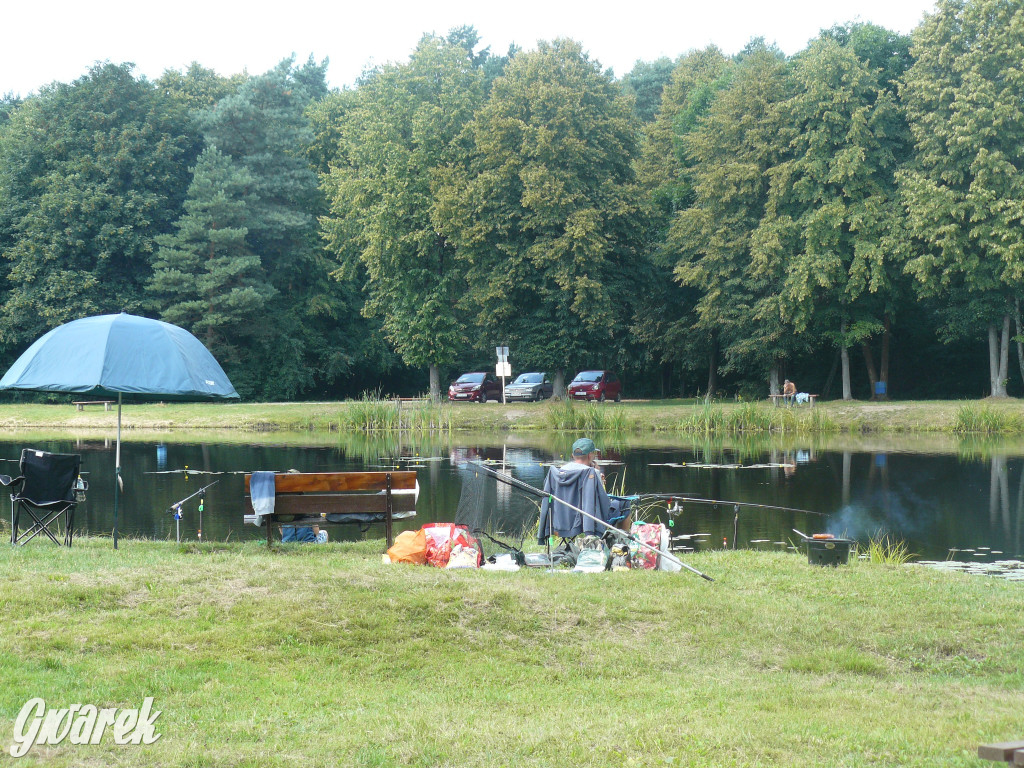 Czy zalew w Pniowcu będzie wyglądał lepiej?