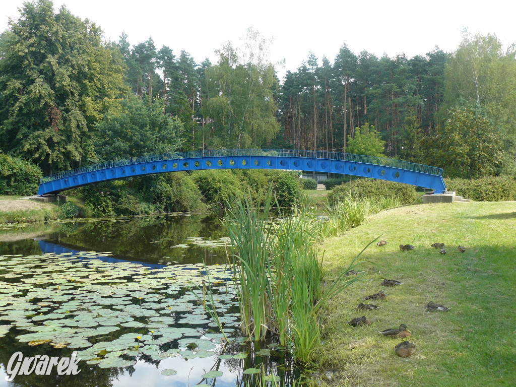 Czy zalew w Pniowcu będzie wyglądał lepiej?