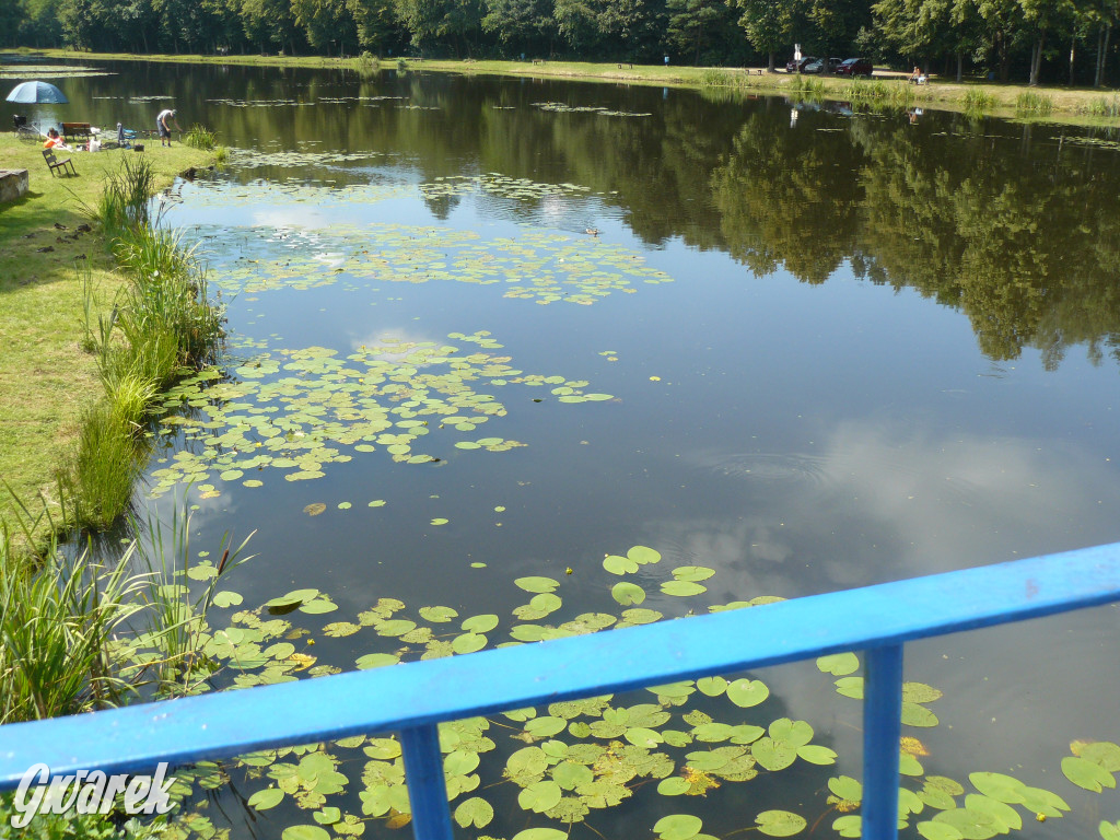 Czy zalew w Pniowcu będzie wyglądał lepiej?