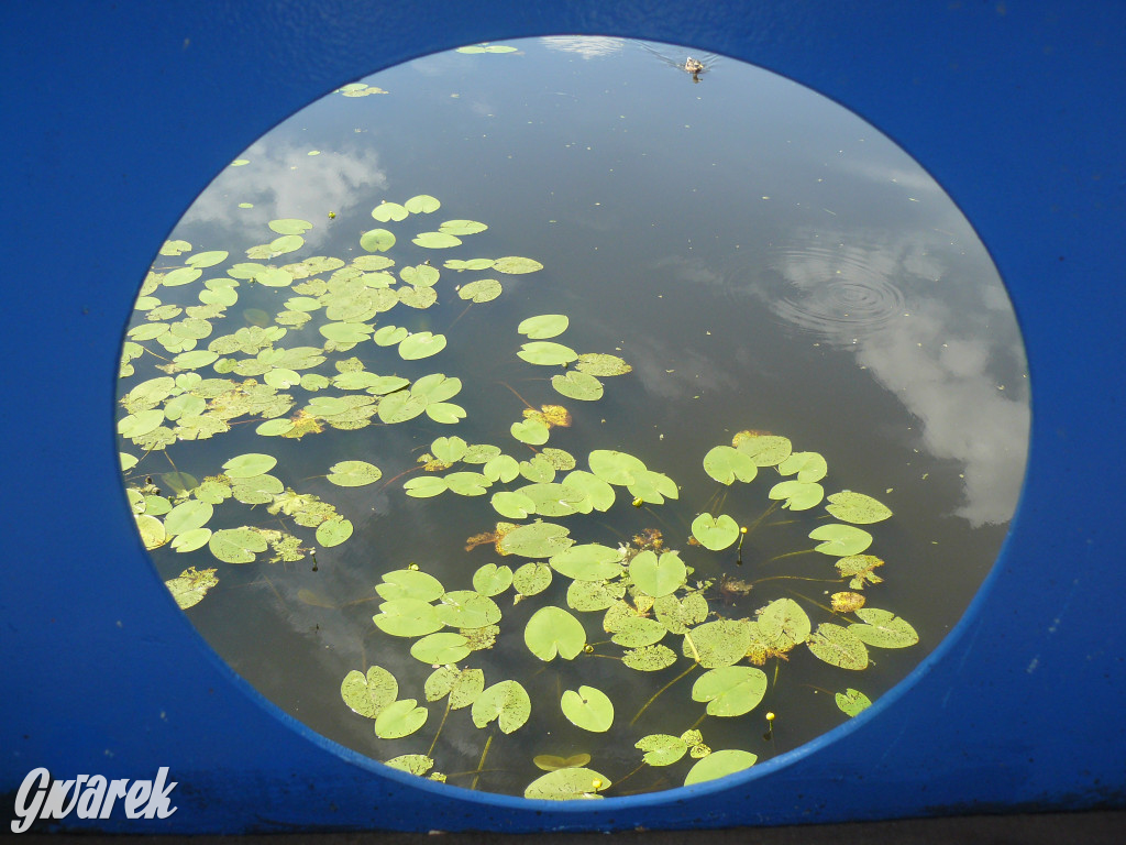 Czy zalew w Pniowcu będzie wyglądał lepiej?