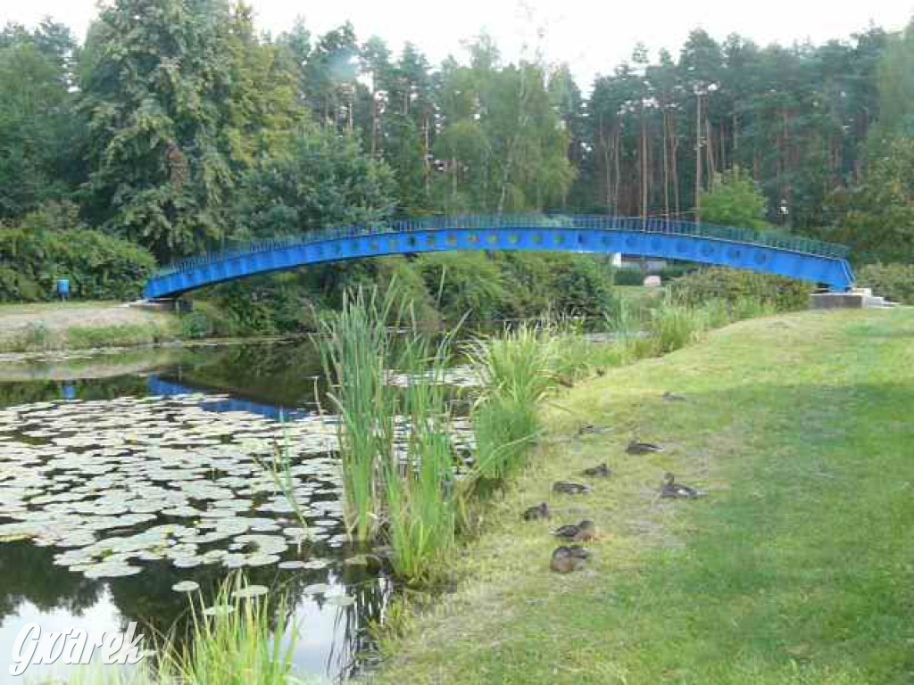 Czy zalew w Pniowcu będzie wyglądał lepiej?