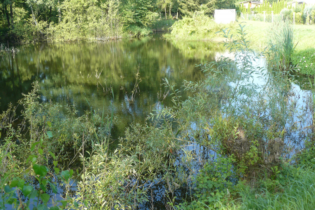Tarnowskie Góry. Ścieżka edukacyjna na działkach