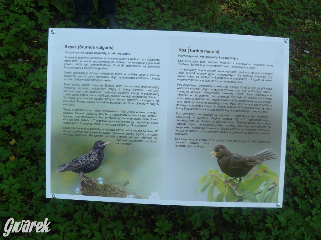 Tarnowskie Góry. Ścieżka edukacyjna na działkach