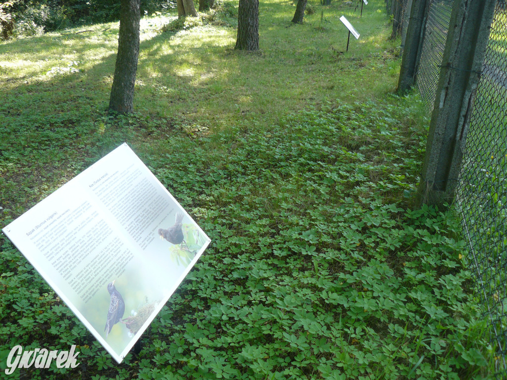 Tarnowskie Góry. Ścieżka edukacyjna na działkach