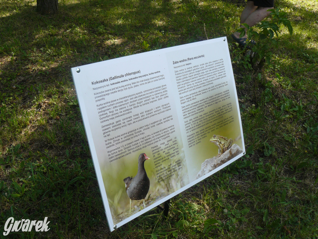 Tarnowskie Góry. Ścieżka edukacyjna na działkach
