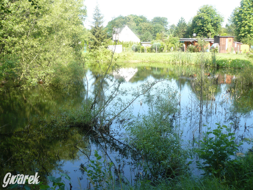 Tarnowskie Góry. Ścieżka edukacyjna na działkach
