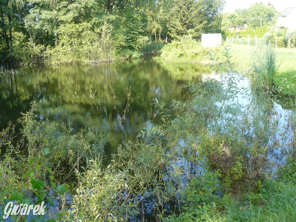 Tarnowskie Góry. Ścieżka edukacyjna na działkach
