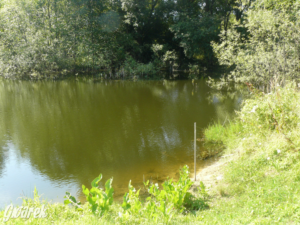 Tarnowskie Góry. Ścieżka edukacyjna na działkach