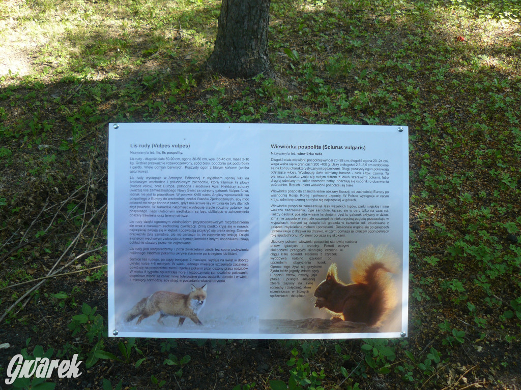 Tarnowskie Góry. Ścieżka edukacyjna na działkach