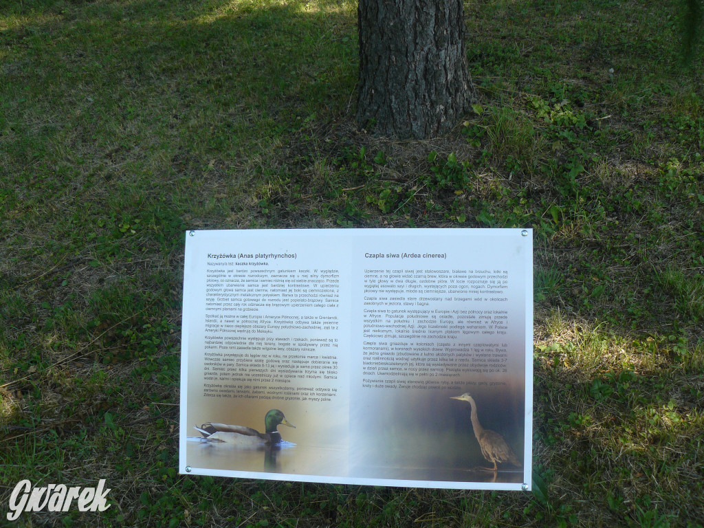 Tarnowskie Góry. Ścieżka edukacyjna na działkach