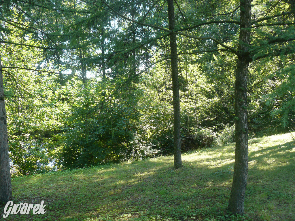 Tarnowskie Góry. Ścieżka edukacyjna na działkach
