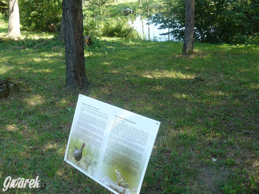 Tarnowskie Góry. Ścieżka edukacyjna na działkach