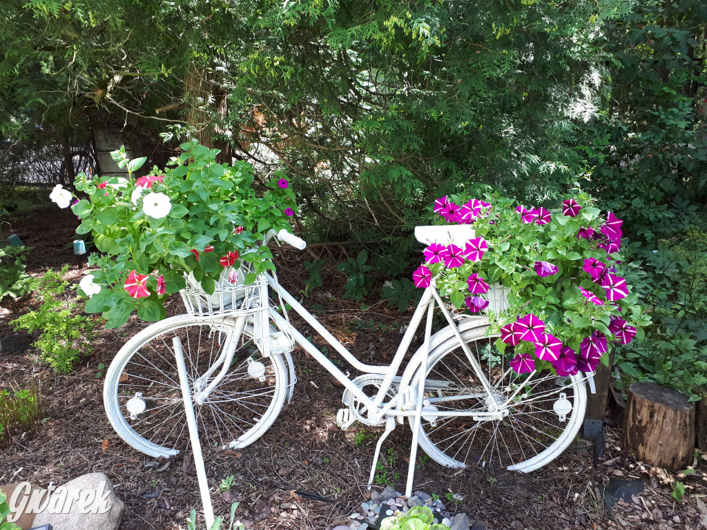 Plebiscyt na najładniejszy ogród i balkon 2022