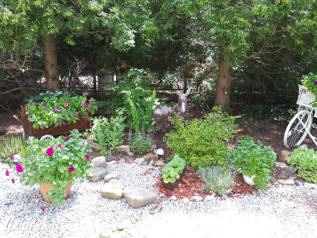 Plebiscyt na najładniejszy ogród i balkon 2022