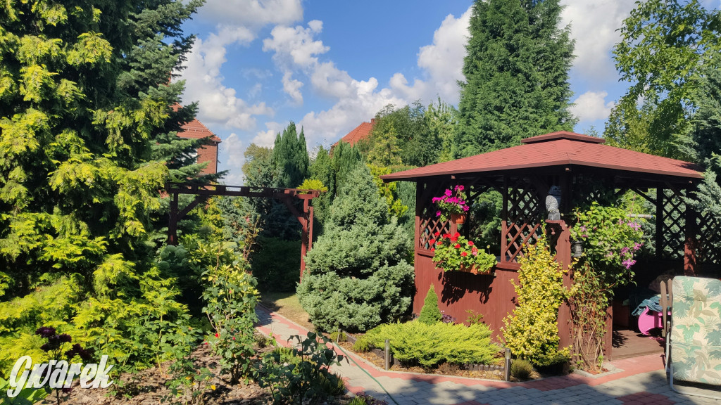 Plebiscyt na najładniejszy ogród i balkon 2022