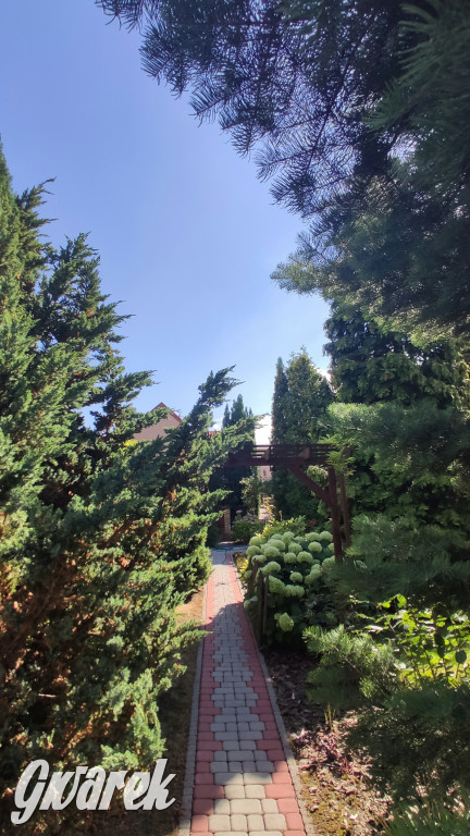 Plebiscyt na najładniejszy ogród i balkon 2022