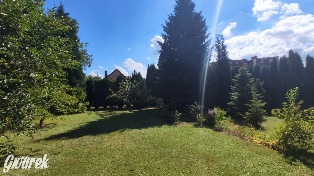 Plebiscyt na najładniejszy ogród i balkon 2022