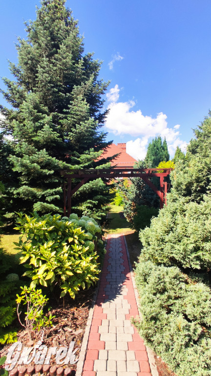 Plebiscyt na najładniejszy ogród i balkon 2022