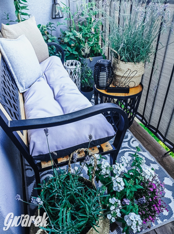 Plebiscyt na najładniejszy ogród i balkon 2022