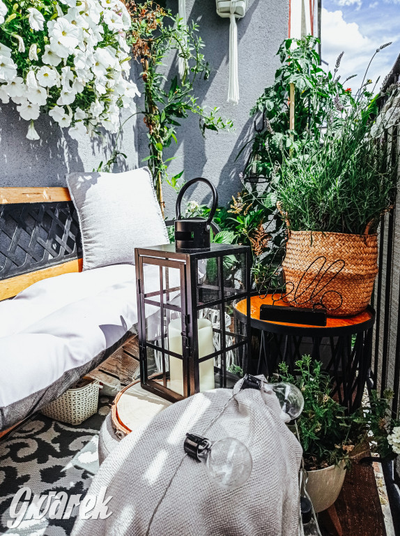 Plebiscyt na najładniejszy ogród i balkon 2022