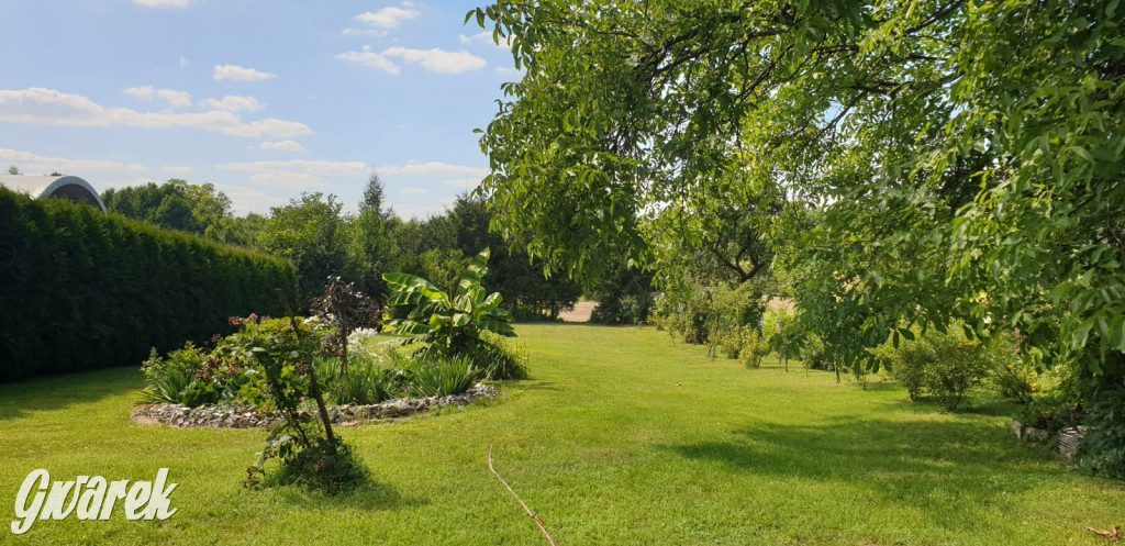 Plebiscyt na najładniejszy ogród i balkon 2022