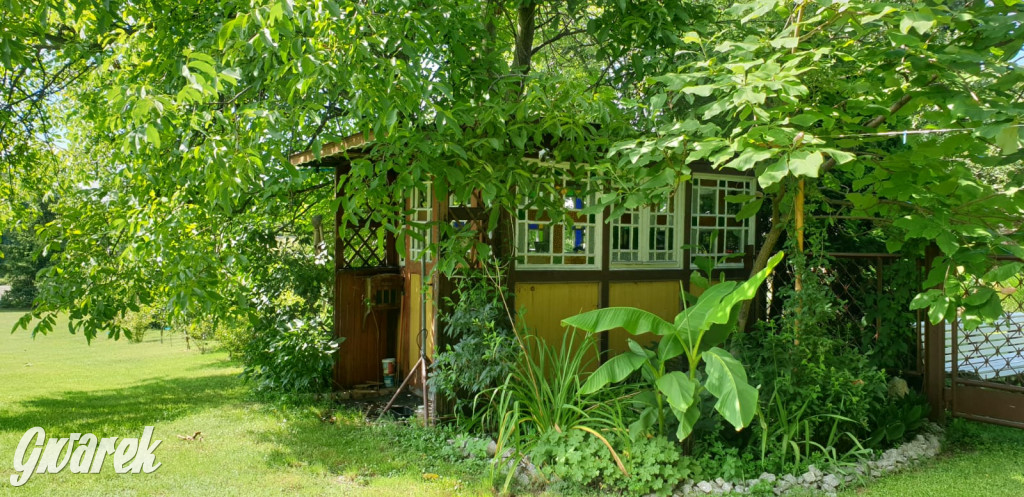 Plebiscyt na najładniejszy ogród i balkon 2022