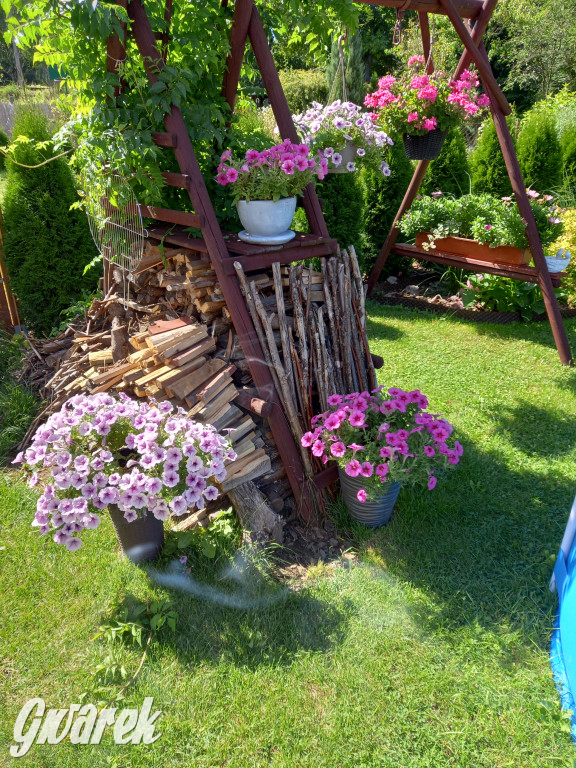 Plebiscyt na najładniejszy ogród i balkon 2022