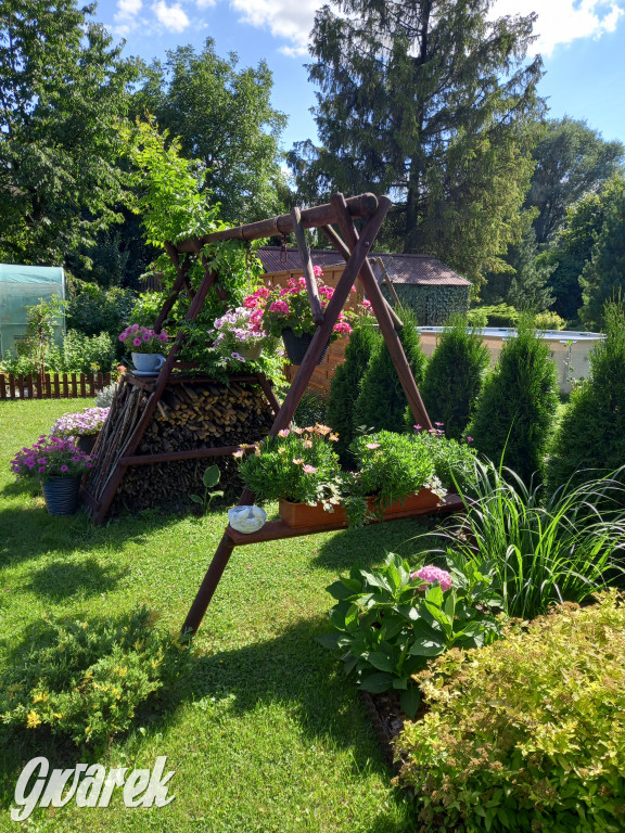 Plebiscyt na najładniejszy ogród i balkon 2022