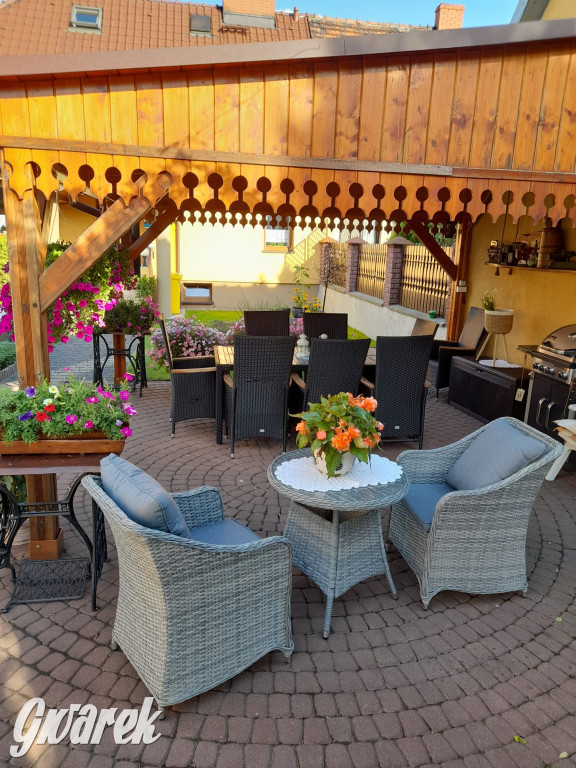 Plebiscyt na najładniejszy ogród i balkon 2022