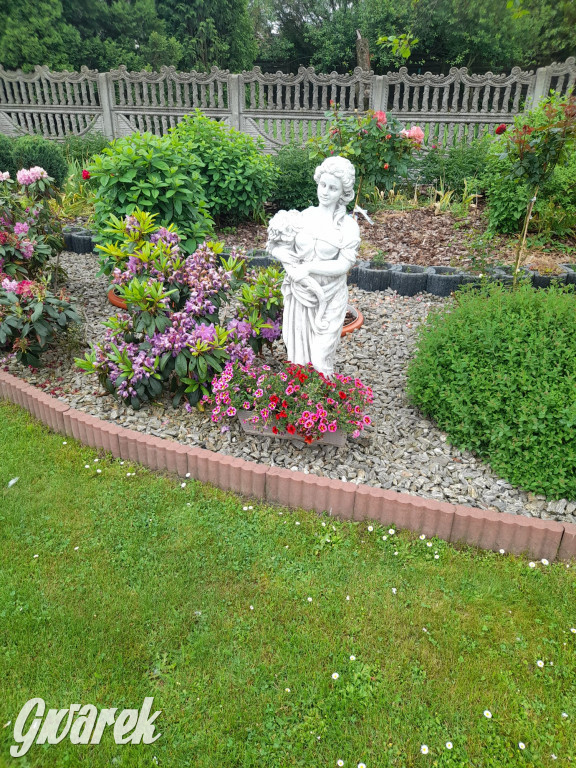 Plebiscyt na najładniejszy ogród i balkon 2022