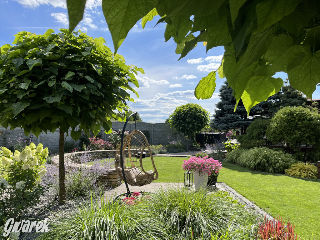 Plebiscyt na najładniejszy ogród i balkon 2022