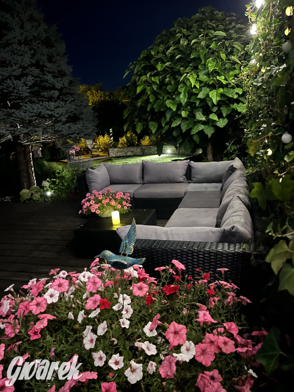 Plebiscyt na najładniejszy ogród i balkon 2022