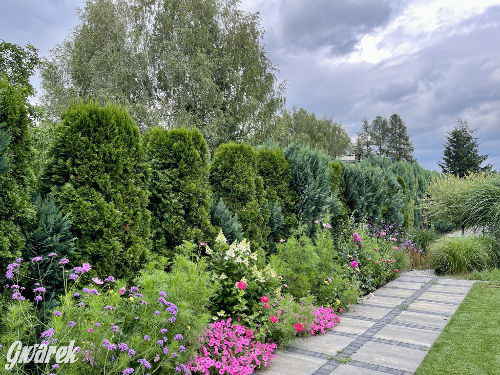 Plebiscyt na najładniejszy ogród i balkon 2022