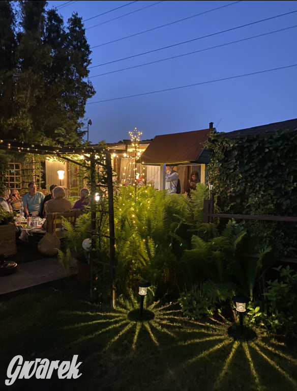 Plebiscyt na najładniejszy ogród i balkon 2022