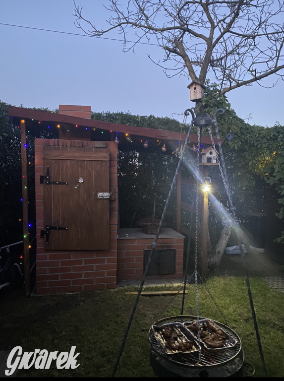 Plebiscyt na najładniejszy ogród i balkon 2022