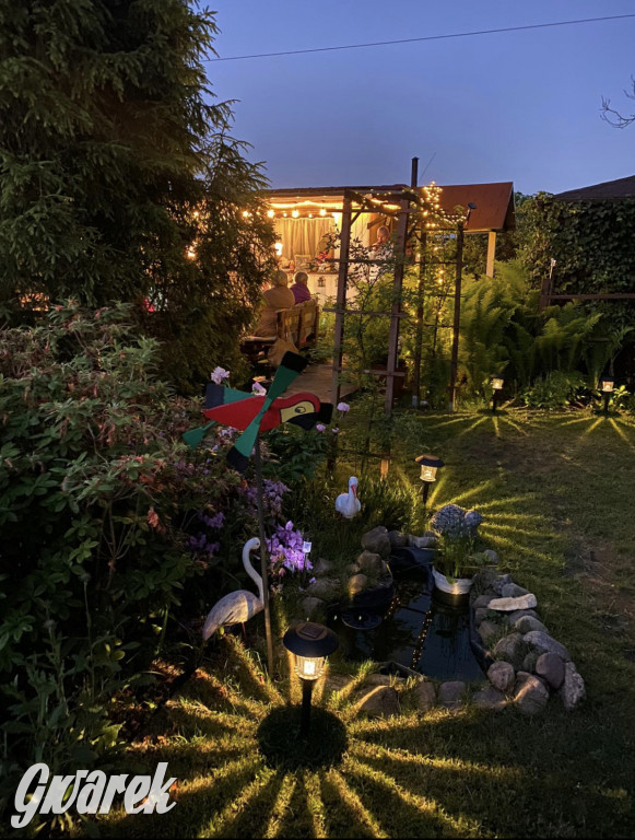 Plebiscyt na najładniejszy ogród i balkon 2022