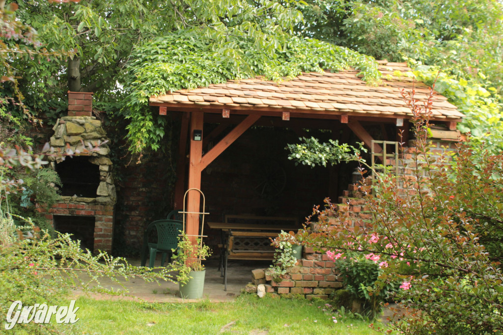 Plebiscyt na najładniejszy ogród i balkon 2022