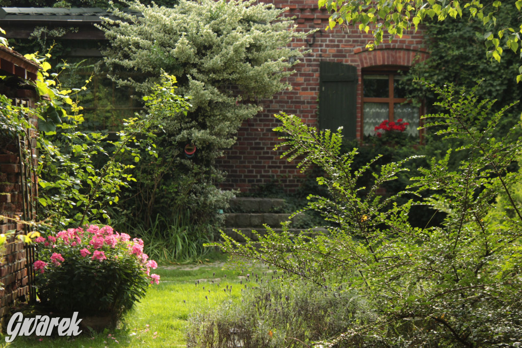 Plebiscyt na najładniejszy ogród i balkon 2022