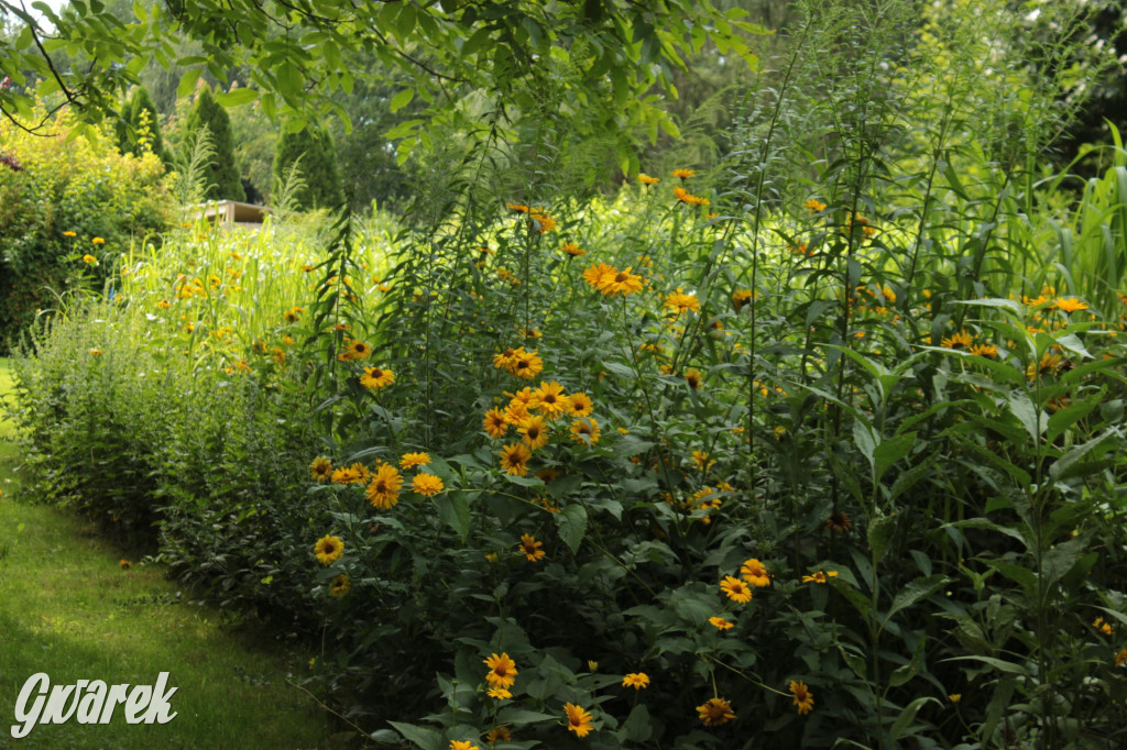 Plebiscyt na najładniejszy ogród i balkon 2022