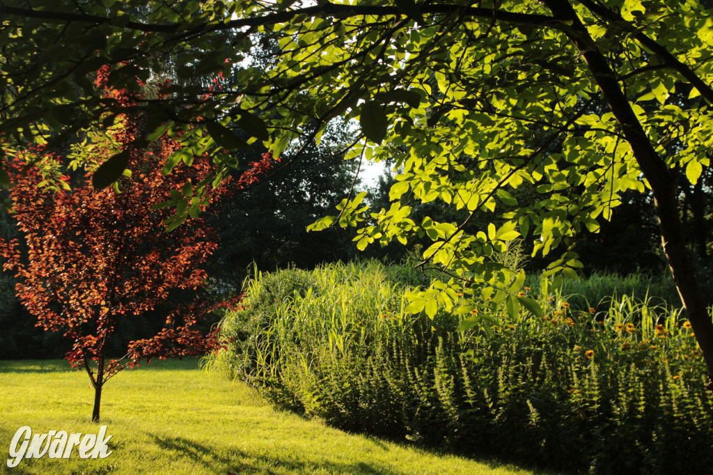Plebiscyt na najładniejszy ogród i balkon 2022