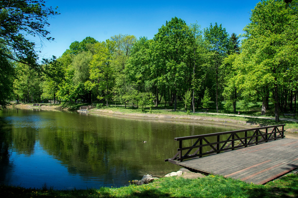 A może na spacer do parku Kachla w Bytomiu?