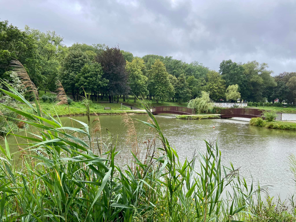 A może na spacer do parku Kachla w Bytomiu?