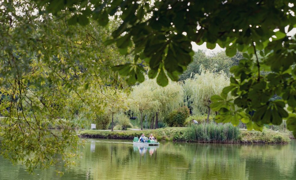 A może na spacer do parku Kachla w Bytomiu?