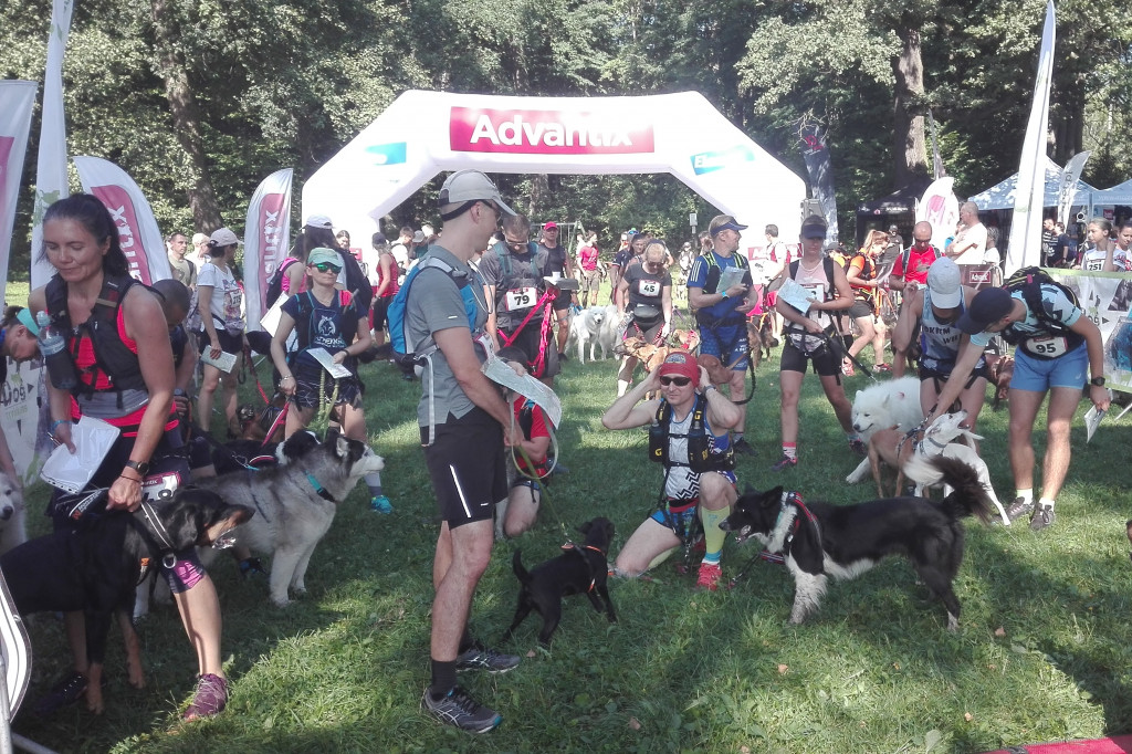 Psy na starcie, czyli dogtrekking w Koszęcinie