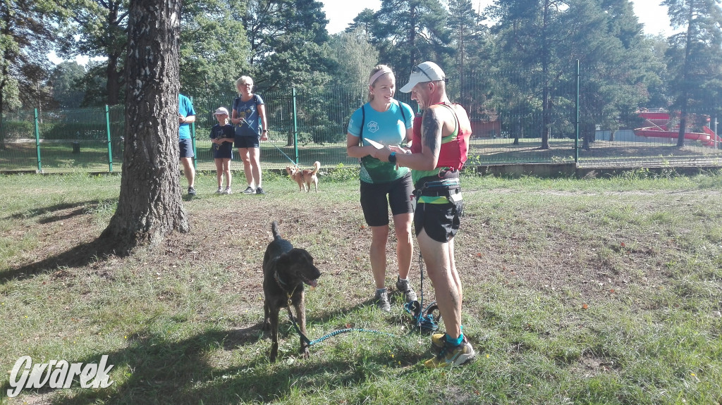 Psy na starcie, czyli dogtrekking w Koszęcinie