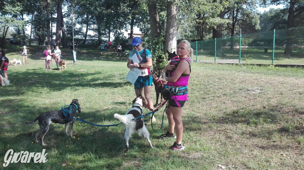 Psy na starcie, czyli dogtrekking w Koszęcinie