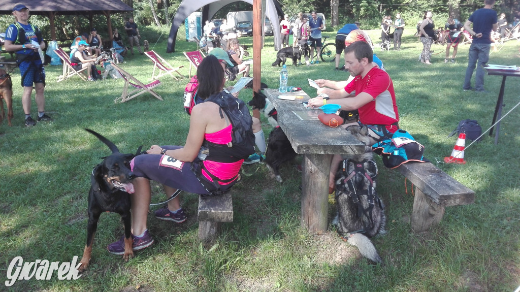 Psy na starcie, czyli dogtrekking w Koszęcinie