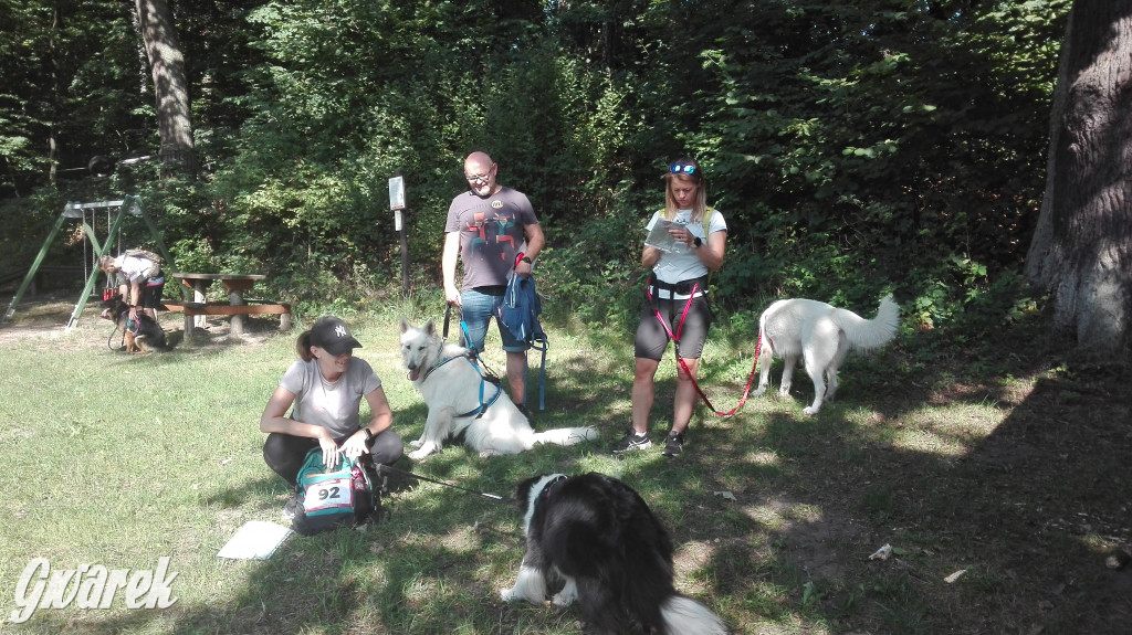 Psy na starcie, czyli dogtrekking w Koszęcinie