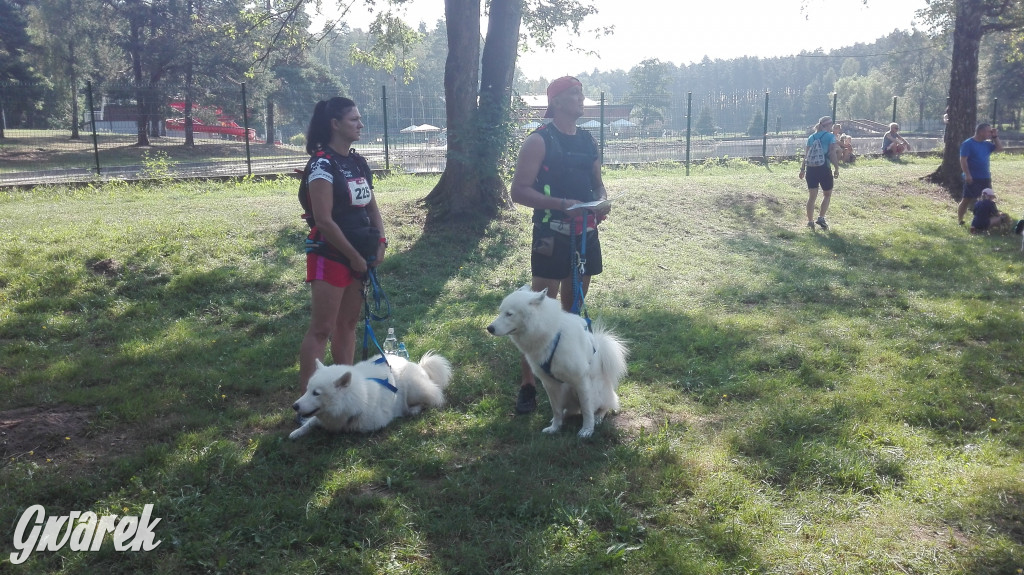 Psy na starcie, czyli dogtrekking w Koszęcinie
